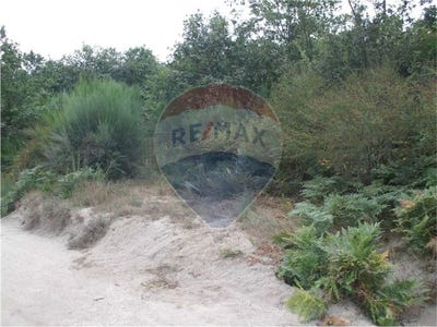 /international/pt/braga-braga-310106483329/