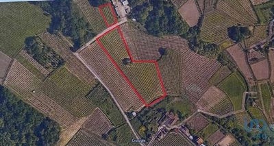 /international/pt/melgaco-viana-do-castelo-120094573627/