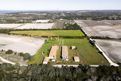 /international/pt/odeceixe-faro-310101335666/