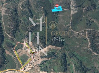 /international/pt/amendoa-santarem-310107358282/