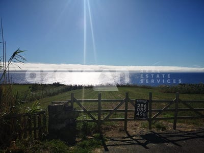 /international/pt/ginetes-azores-120086107427/
