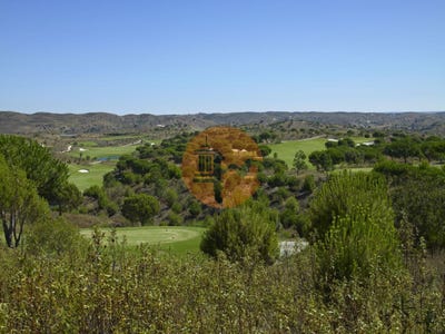 /international/pt/faro-faro-310096377281/
