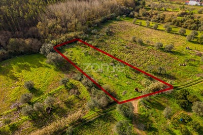 /international/pt/pombal-braga-310104459010/