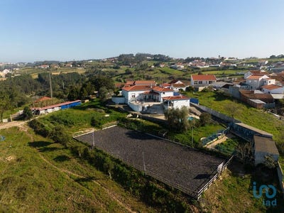 /international/pt/leiria-leiria-310098219553/