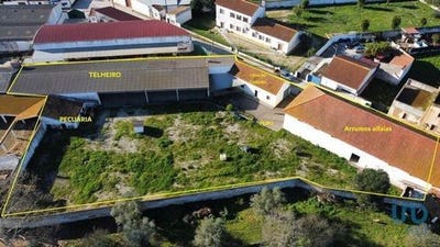 /international/pt/golega-santarem-120089941721/?lang=zh-tw