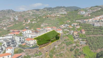 /international/pt/camara-de-lobos-madeira-310107922292/