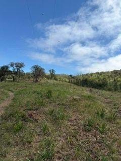 /international/pt/uniao-das-freguesias-de-venda-do-pinheiro-e-santo-estevao-das-gales-portugal-venda-do-pinheiro-e-santo-estevao-das-gales-lisbon-310109015234/?lang=it