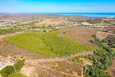 /international/pt/vila-do-bispo-faro-120086459735/