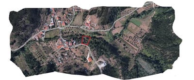 /international/pt/brasfemes-coimbra-310100668178/
