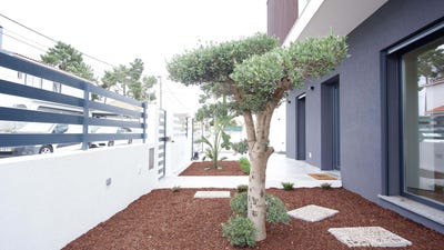 /international/pt/azeitao-sao-lourenco-e-sao-simao-setubal-municipality-310101035040/?lang=zh-tw