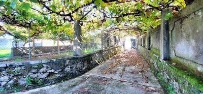 /international/pt/caminha-viana-do-castelo-310102315358/