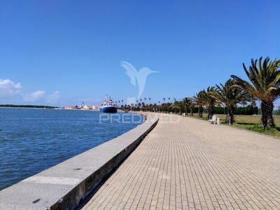 /international/pt/gafanha-da-nazare-ilhavo-aveiro-310106936348/