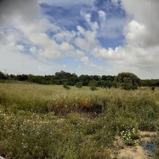 /international/pt/santa-luzia-santarem-310101186437/?lang=zh-cn