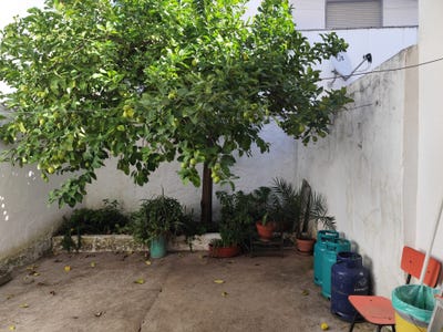 /international/pt/beja-beja-310103537338/