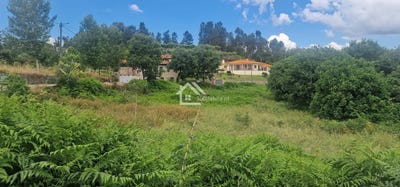 /international/pt/lomba-da-fazenda-azores-310108788892/