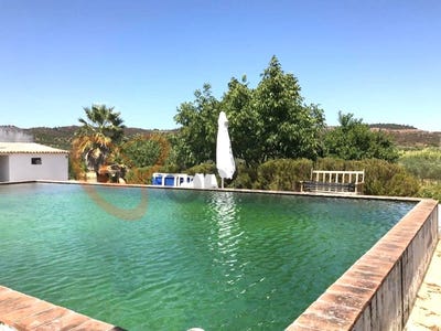 /international/pt/vidigueira-aveiro-310103086144/?lang=id