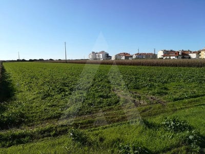 /international/pt/gafanha-da-boa-hora-aveiro-310100277248/