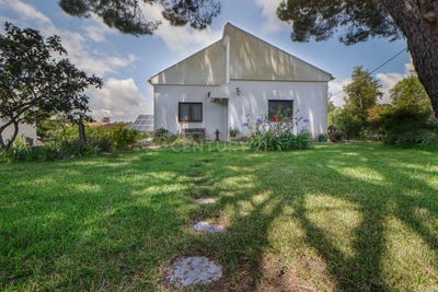 /international/pt/azeitao-sao-lourenco-e-sao-simao-setubal-municipality-310100988761/