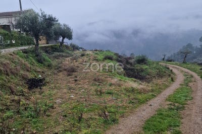 /international/pt/murca-guarda-310104170958/