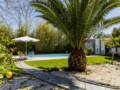 /international/pt/borba-sao-bartolomeu-evora-310108519075/