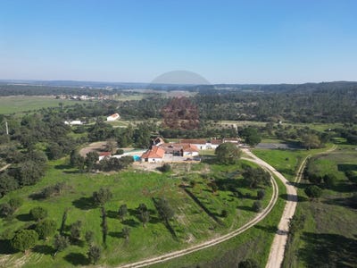 /international/pt/raposa-viana-do-castelo-310106518598/