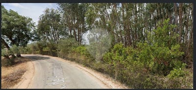 /international/pt/santarem-santarem-310098237456/