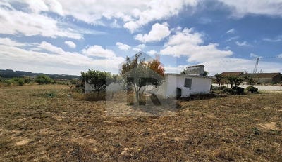 /international/pt/bombarral-leiria-310101417152/?lang=it