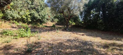 /international/pt/antuzede-e-vil-de-matos-coimbra-district-310101326568/?lang=zh-cn