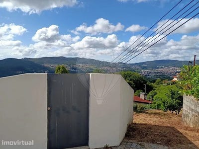 /international/pt/sao-pedro-de-casteloes-aveiro-310093898731/