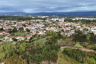 /international/pt/agueda-aveiro-310102231244/