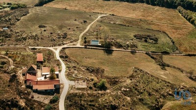 /international/pt/belmonte-e-colmeal-da-torre-castelo-branco-310101186011/?lang=it