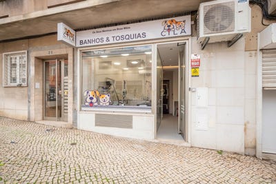 /international/pt/avenidas-novas-lisbon-310099843419/