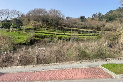 /international/pt/ribeira-de-pena-vila-real-310108002123/