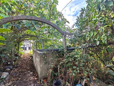 /international/pt/rua-perdigal-sao-domingos-de-rana-portugal-sao-domingos-de-rana-lisbon-310105188139/