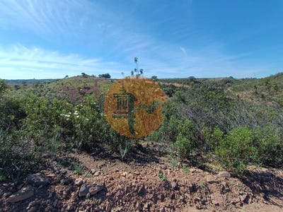 /international/pt/odeleite-faro-310105015781/