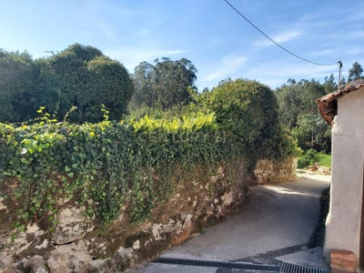 /international/pt/rua-principal-batalha-lisbon-310101897576/
