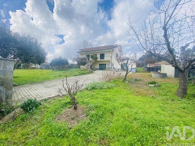 /international/pt/viana-do-castelo-viana-do-castelo-310094055917/