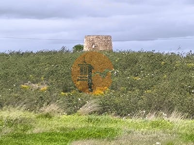 /international/pt/azinhal-faro-310106918308/