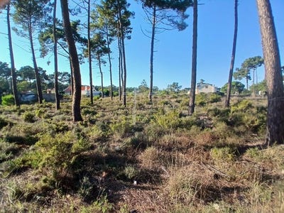 /international/pt/charneca-de-caparica-setubal-municipality-120090570810/