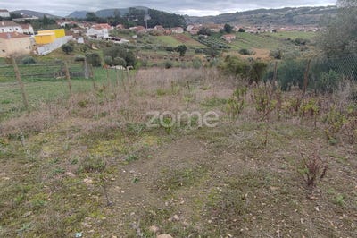 /international/pt/porto-de-mos-leiria-120079966567/