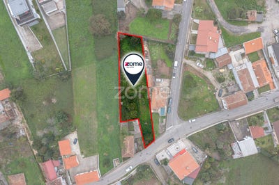 /international/pt/santa-maria-da-feira-aveiro-310095887897/