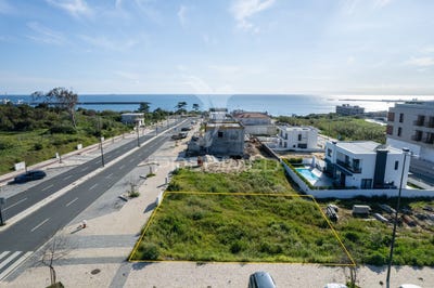 /international/pt/sines-sines-setubal-municipality-310099414496/