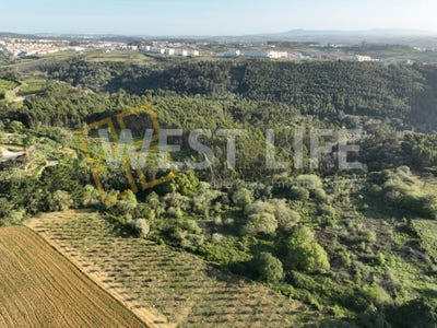 /international/pt/mafra-lisbon-310098119836/