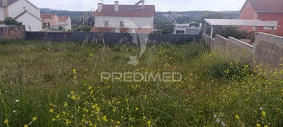 /international/pt/rio-maior-rio-maior-aveiro-310099416292/