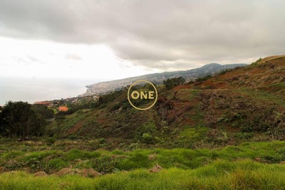 /international/pt/santa-cruz-madeira-310108159499/