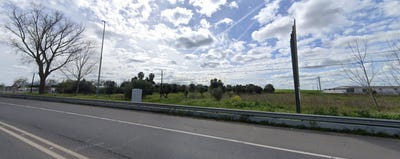 /international/pt/vale-atum-baleizao-beja-310103465735/