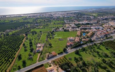 /international/pt/tavira-faro-310097623317/