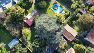/international/pt/rua-nova-do-tronco-paranhos-braga-310105102222/