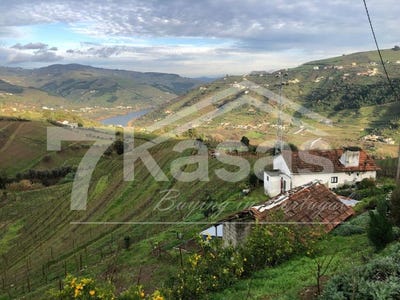 /international/pt/peso-da-regua-vila-real-310104922056/