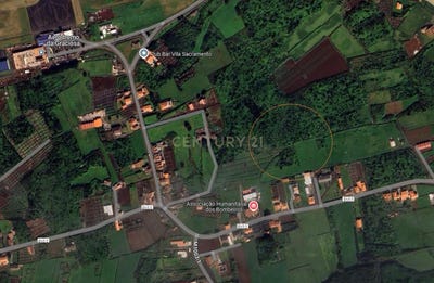 /international/pt/ilha-da-graciosa-azores-310095519962/